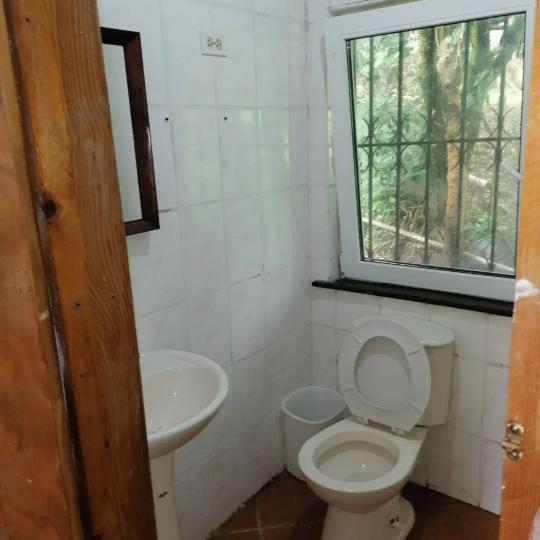 Cabanas Casa Victoria Boquete Extérieur photo